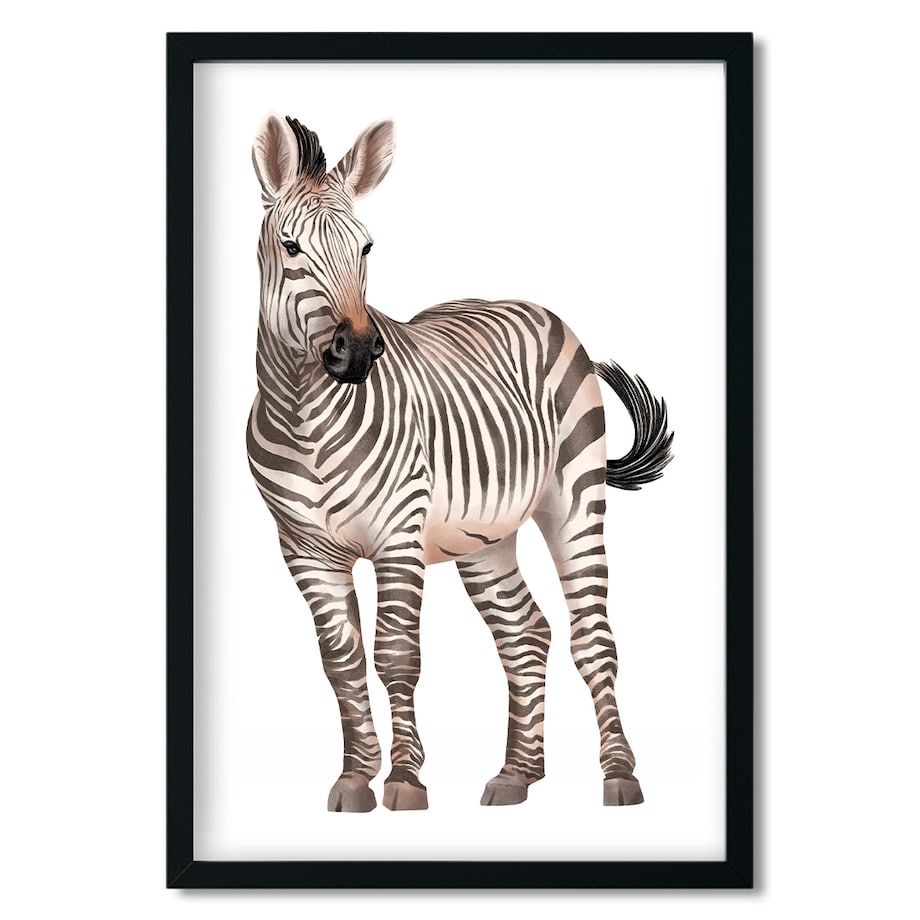 Plakat dla dzieci Zebra 30x40