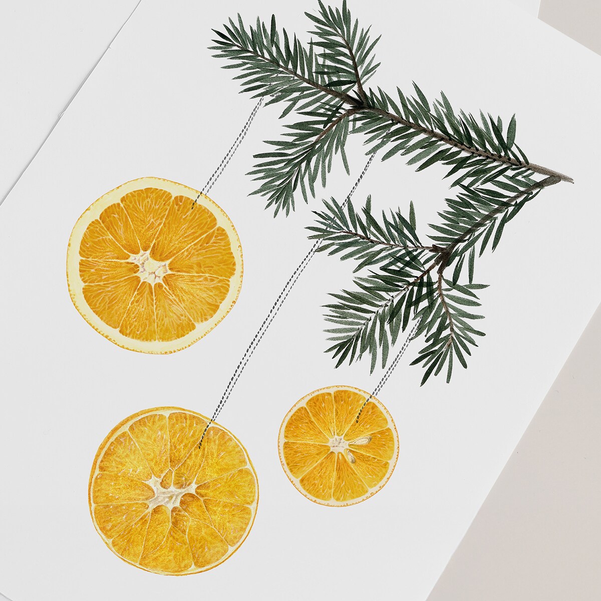 Plakat Pomarańcza z gałązką 30x40cm