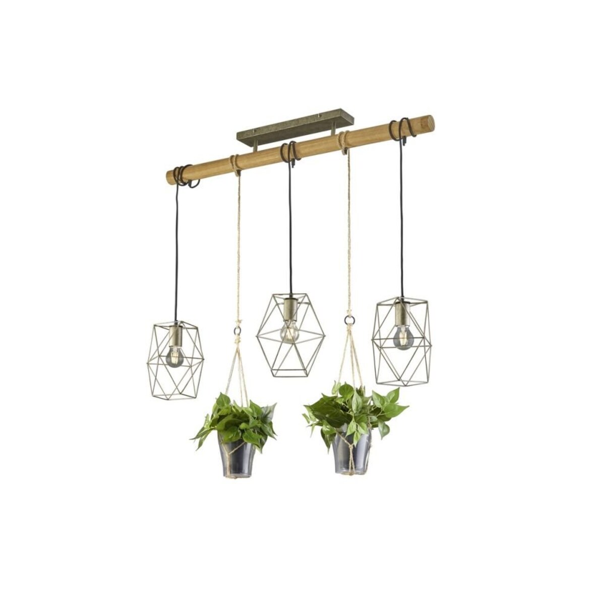 Lampa Wisząca Plant 301000367 Trio