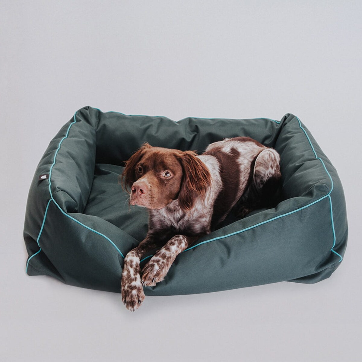 Legowisko dla psa Bone - S - 60x50cm