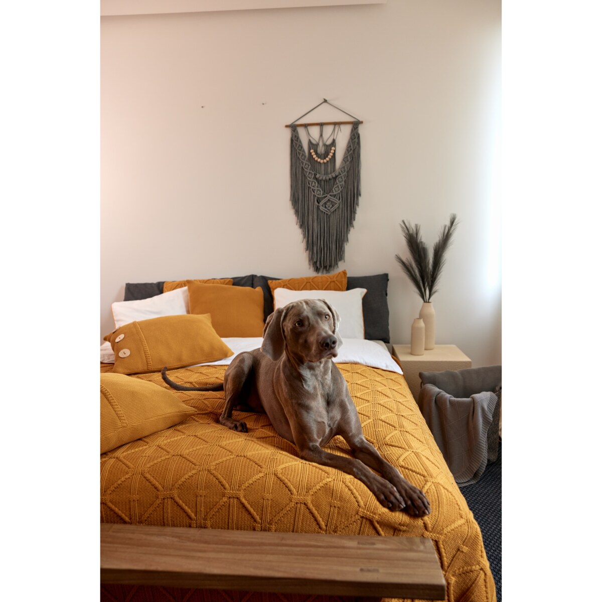 Narzuta brytyjska musztardowa, 220 x 240 cm, La Manta