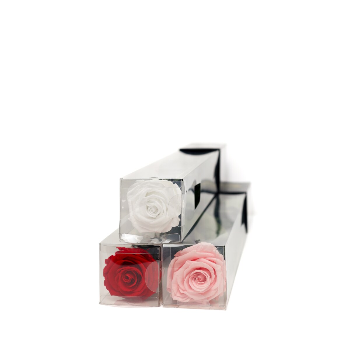 Mega Box 20 sztuk - Wieczna Róża |czerwona| stabilizowana| wysokość 50cm