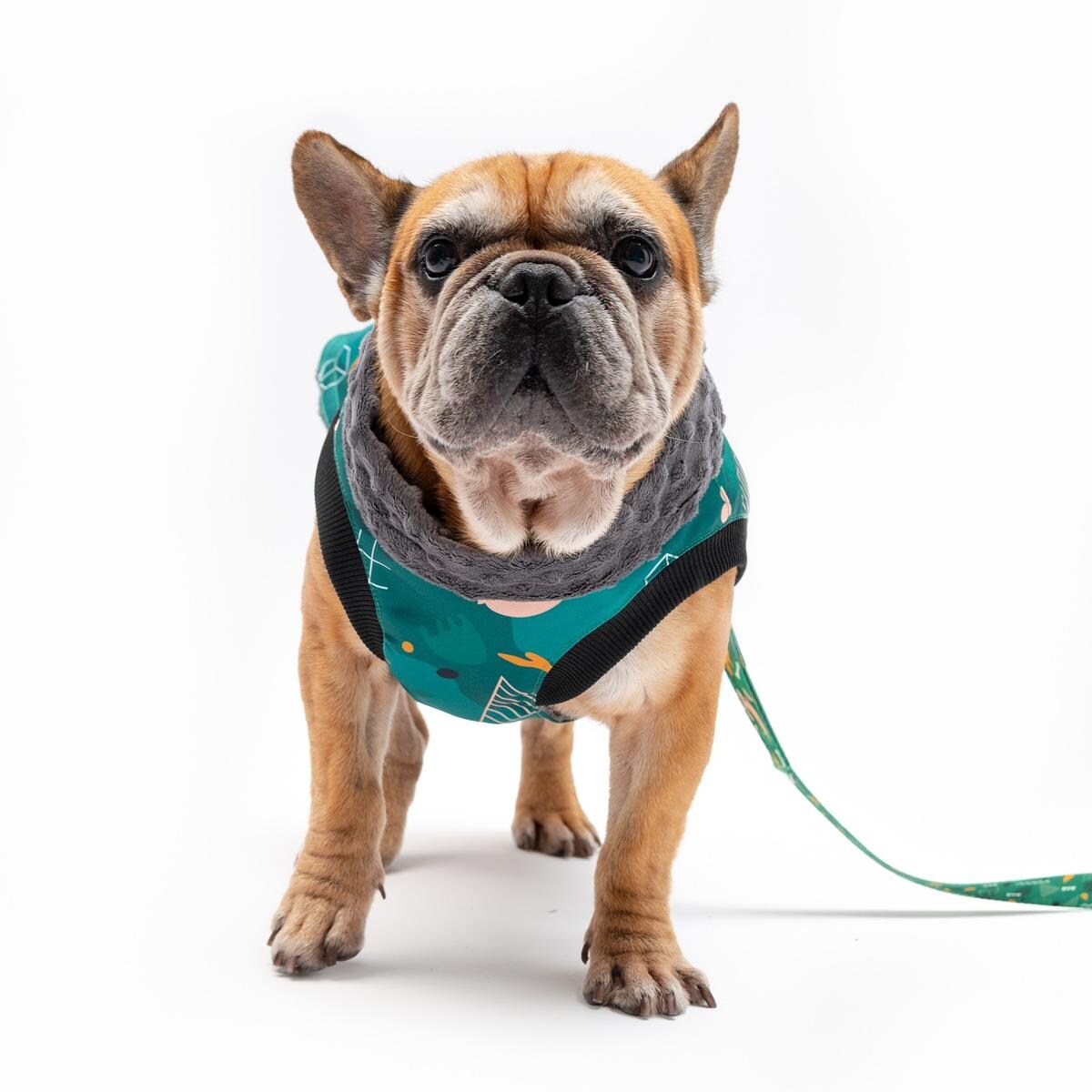 Kurtka dla psa "Psy na jawie" - Rozmiar: XL