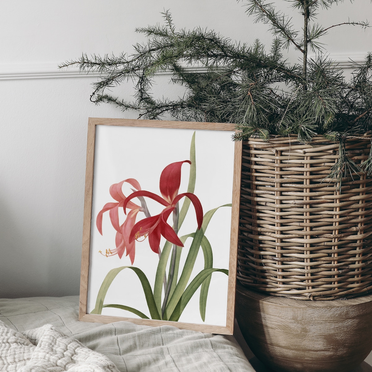 Plakat Amarylis 21x30cm