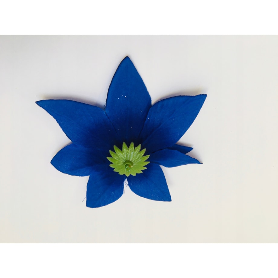 GWIAZDA betlejemska poinsecja niebieska na wianek choinka święta stroik 12x