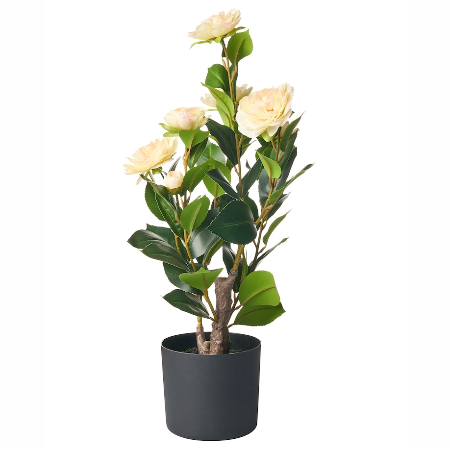 Sztuczna roślina CAMELLIA 60 cm Zielony