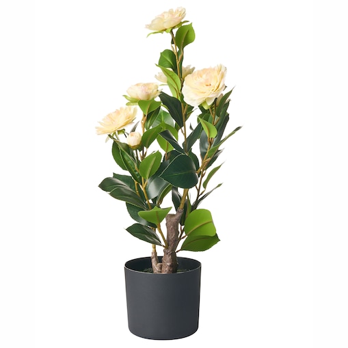 Sztuczna roślina CAMELLIA 60 cm Zielony