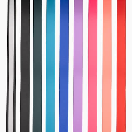 Smycz miejska Biothane® dla psa lub kota "Red AF" - Rozmiar: L, Szerokość taśmy: 19mm