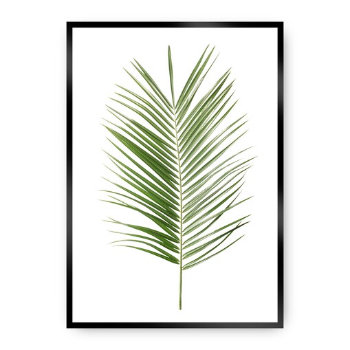 Plakat Palm Leaf Green, 70 x 100 cm, Ramka: Czarna