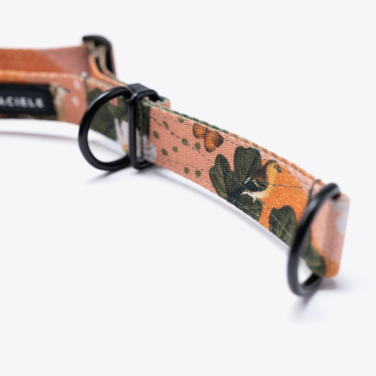 Obroża półzaciskowa dla psa lub kota "Wie wiórka co dobre" - Szerokość taśmy: 38mm, Rozmiar: XL