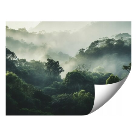 Fototapeta 09-Las_We_Mgle Do Sypialni Salonu Tapeta Ścienna 150X105