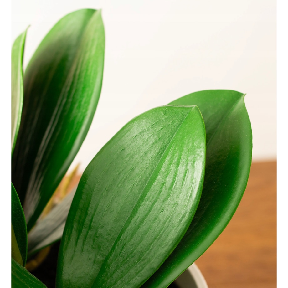 SZTUCZNY STORCZYK DUŻY XXL REALISTYCZNY SILIKONOWY BIAŁY DEKORACJA OZDOBA