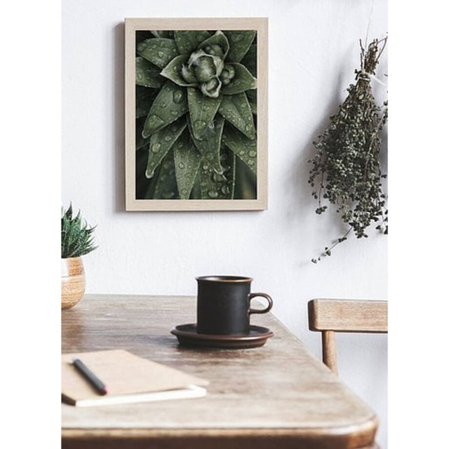 Poster Story, Plakat, Obraz - Aloes Ościsty, wymiary 21 x 30 cm