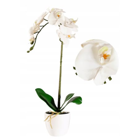 SZTUCZNA ORCHIDEA STORCZYK BIAŁY JAK ŻYWY SILIKONOWY REALISTYCZNA DEKORACJA