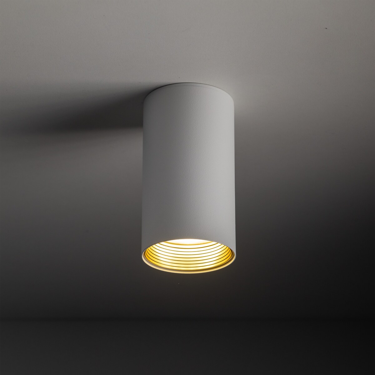 Oprawa natynkowa spot AMIS WHITE 10719 TK Lighting GU10 biała ze złotym akcentem, nowoczesny downlight LED 10W