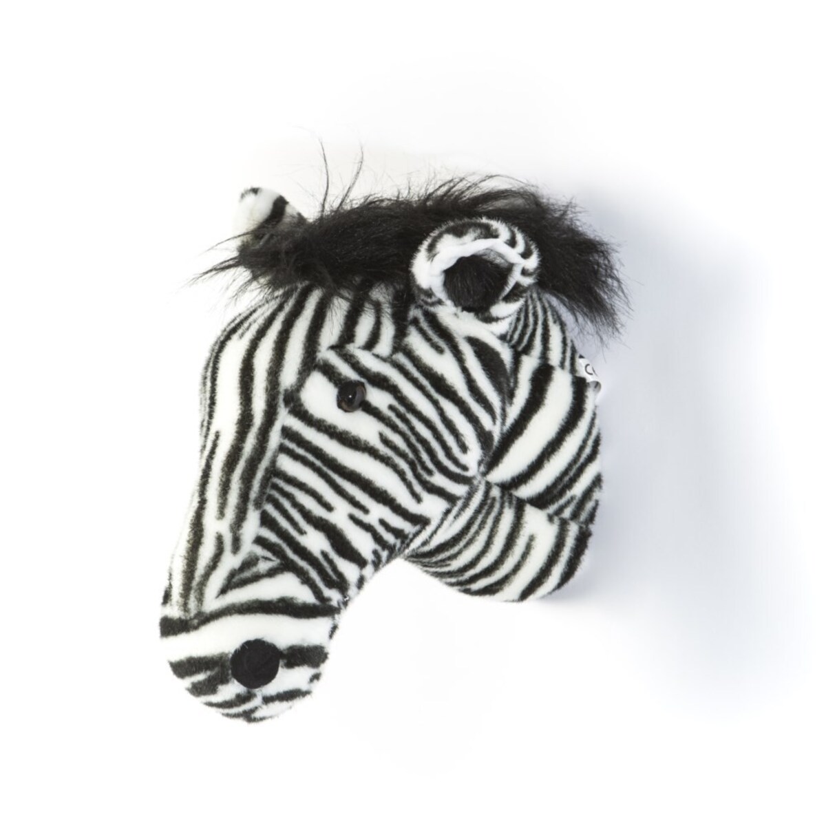 Trofeum zebra Daniel Wild&Soft