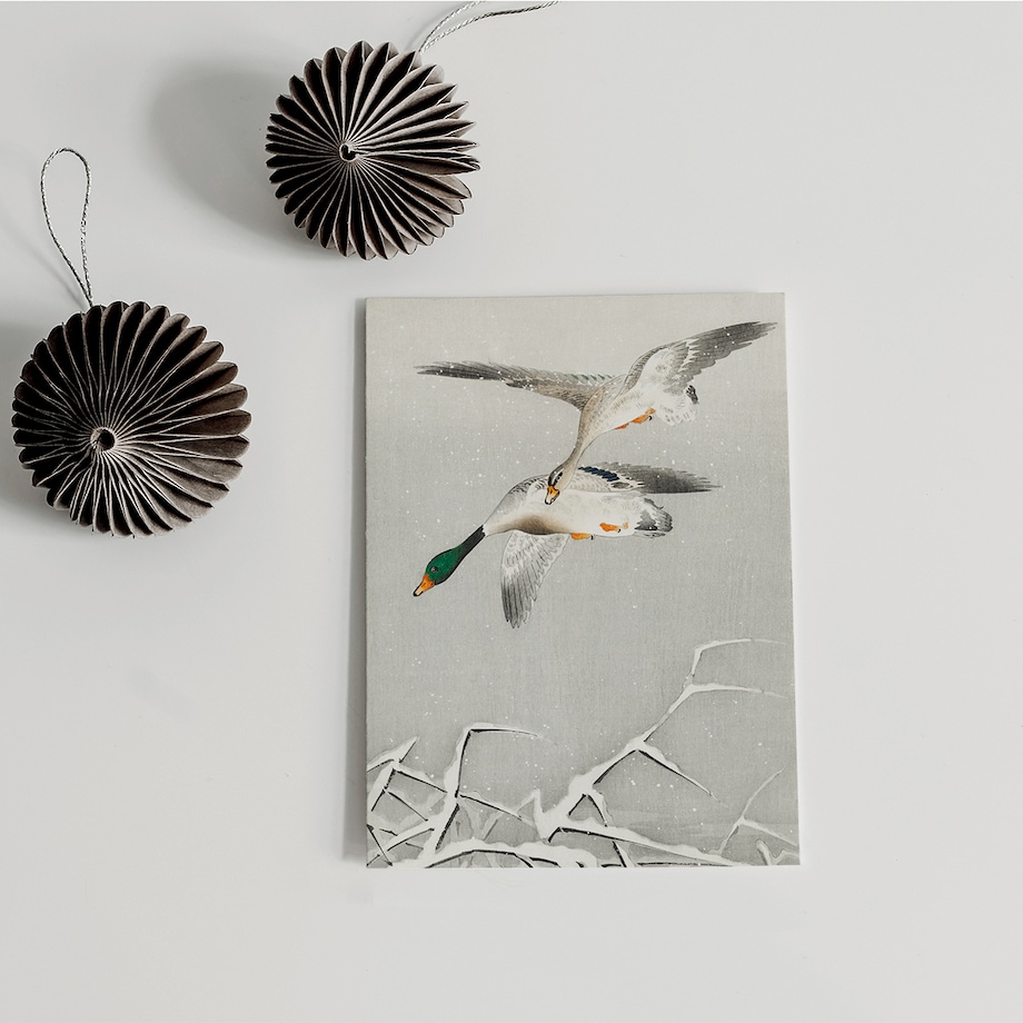 Plakat Kaczki w Locie 30x40cm