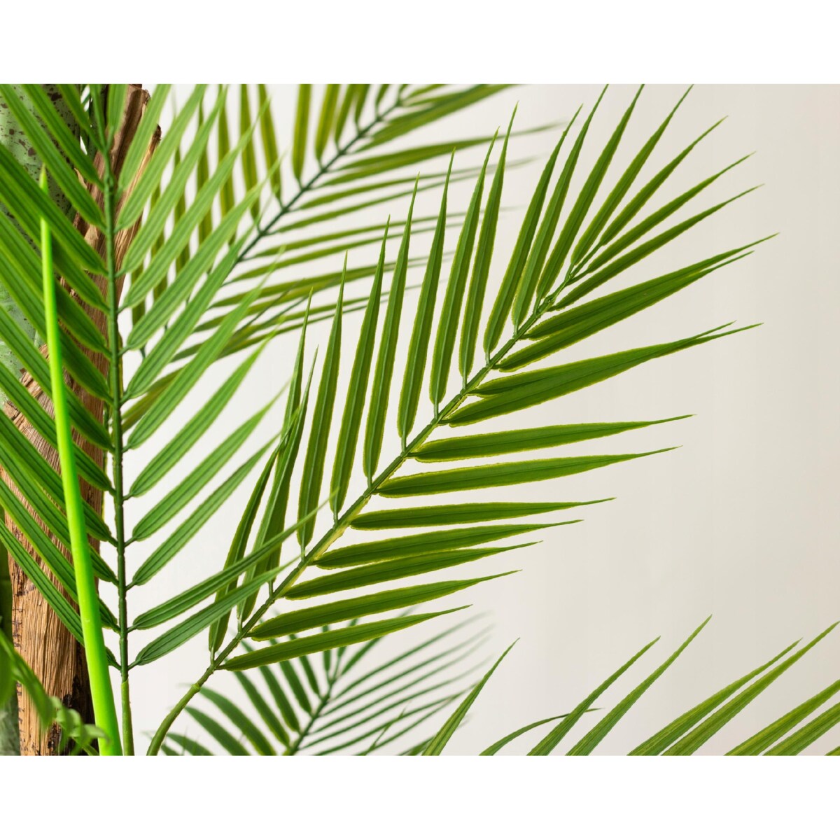 SZTUCZNA PALMA DUŻA AREKA WYSOKA 1.8M do salonu biura jak żywa realistyczna