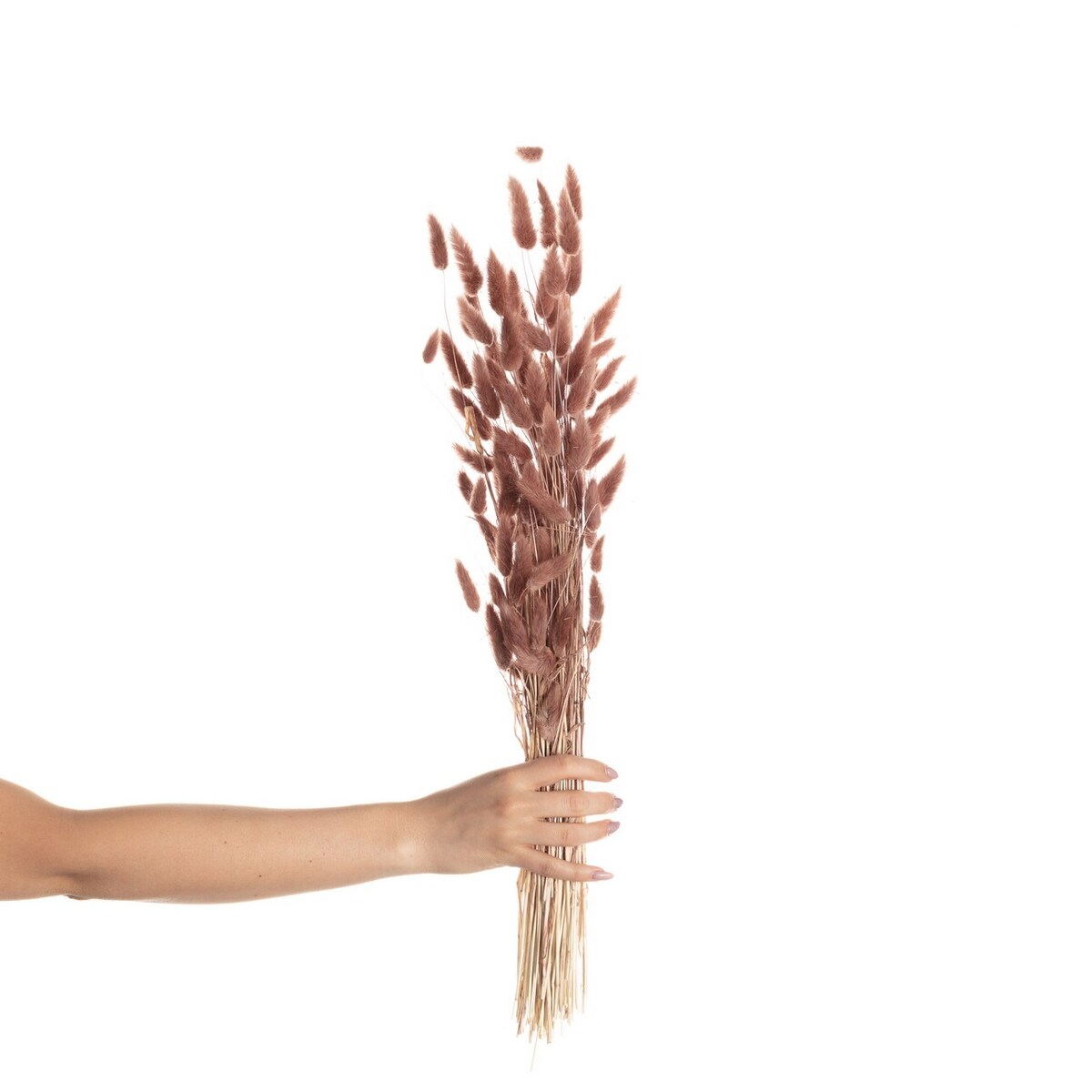 Bukiet Dmuszka 60cm dusty pink, 5 x 5 x 60 cm