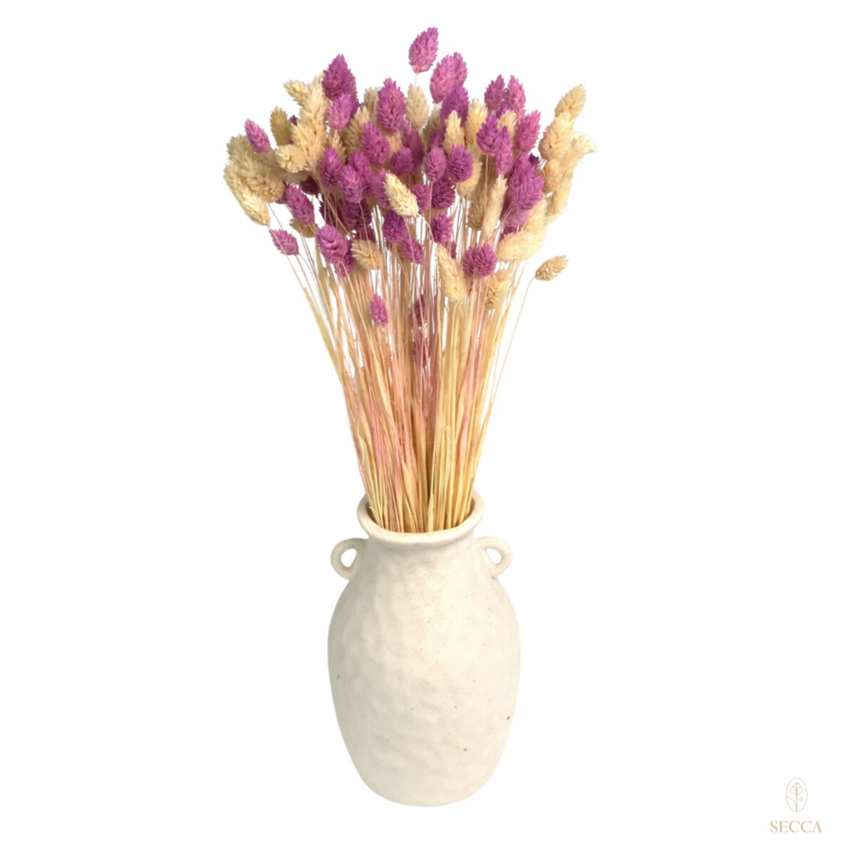 Zestaw suszonych traw biel & fiolet