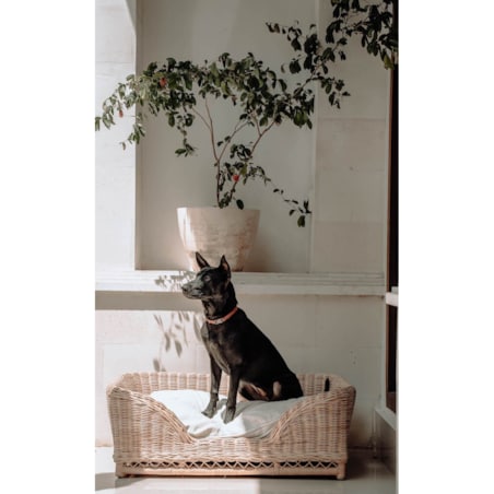 KALUA LEGOWISKO KOSZ DLA PSA L