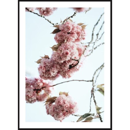 Poster Story, Plakat, Obraz - Różowe Kwiaty, wymiary 70 x 100 cm