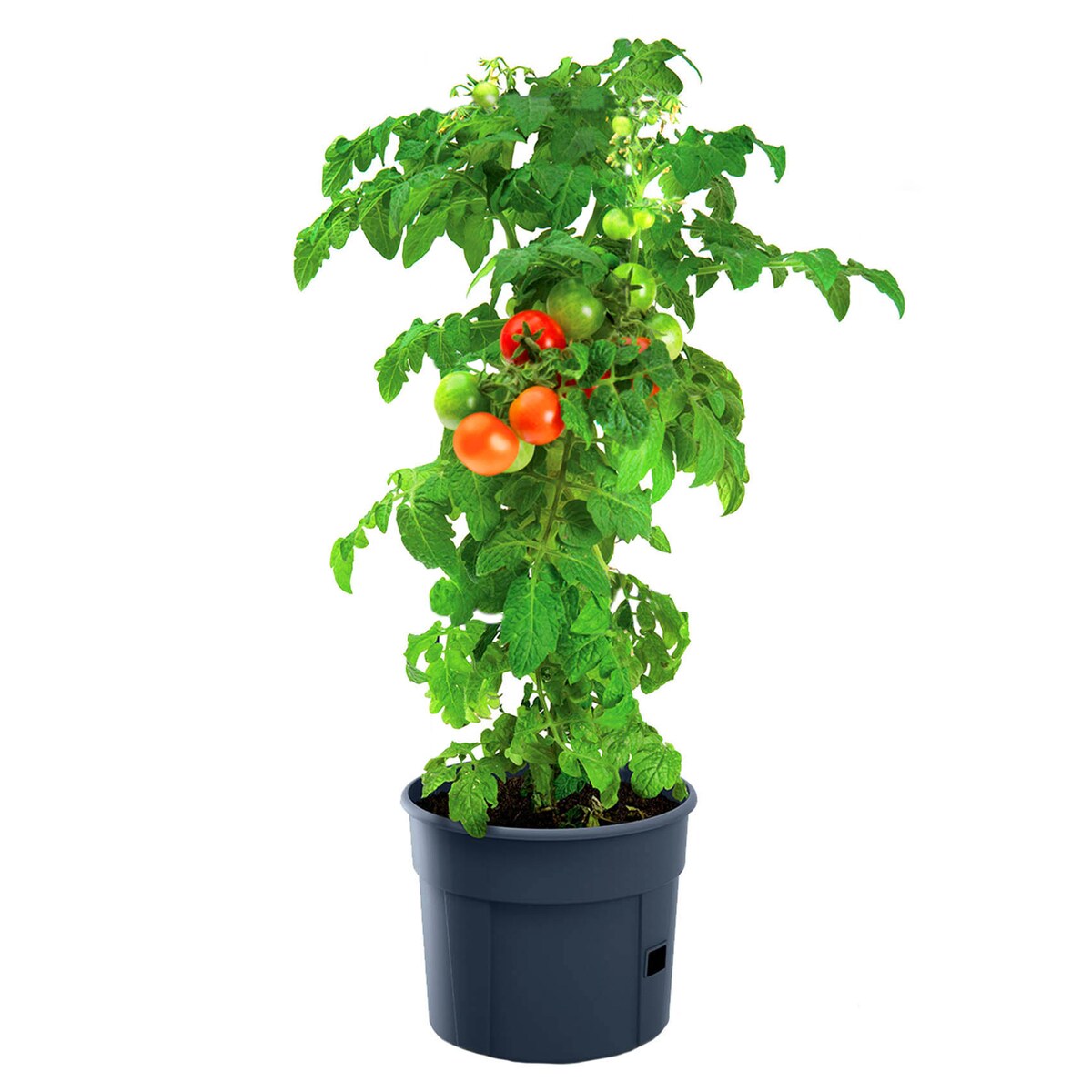 Doniczka Donica Do Sadzenia Ziemniaków Uprawy Warzyw 29,5 Cm