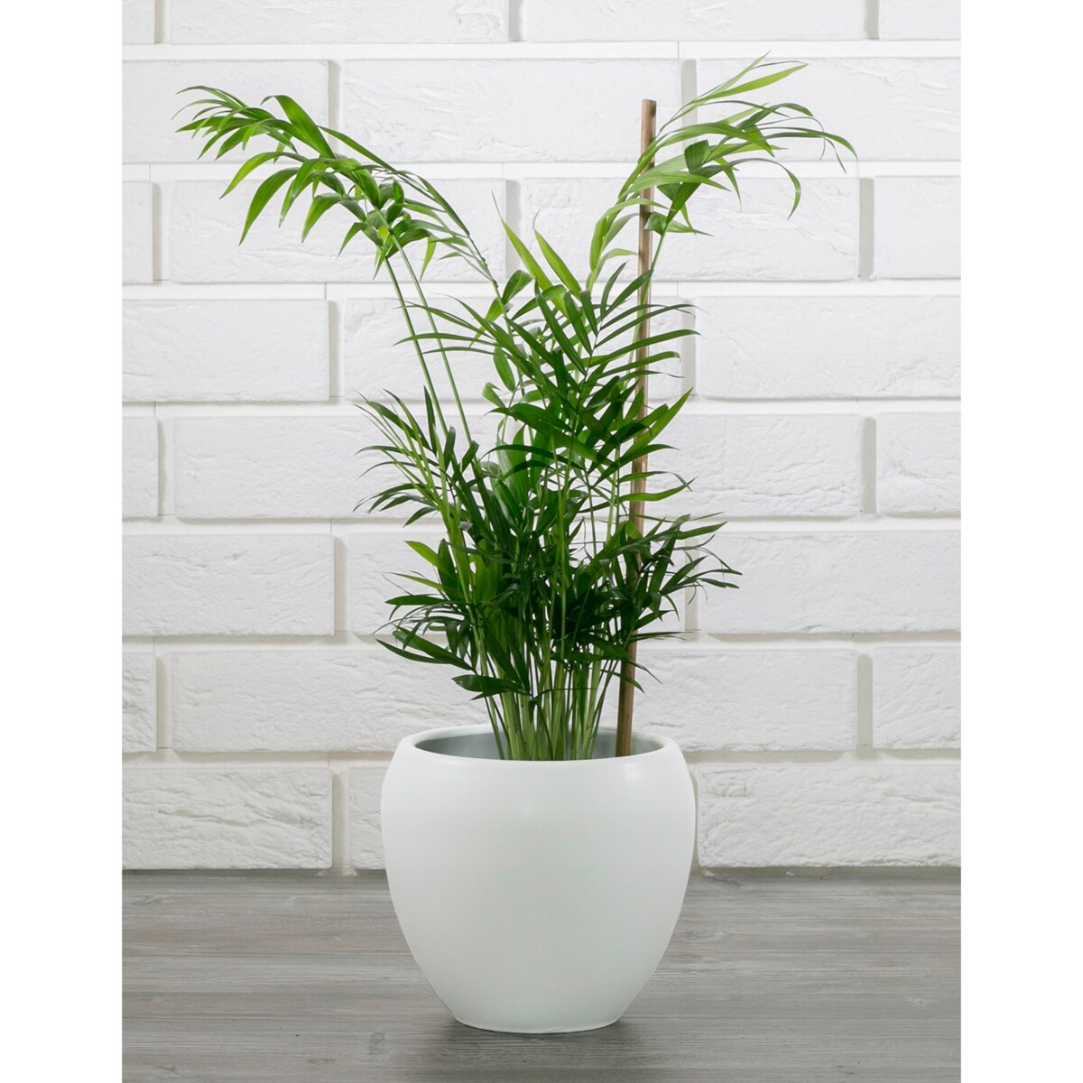 DONICA LEON ceramiczna biała śr. 16cm