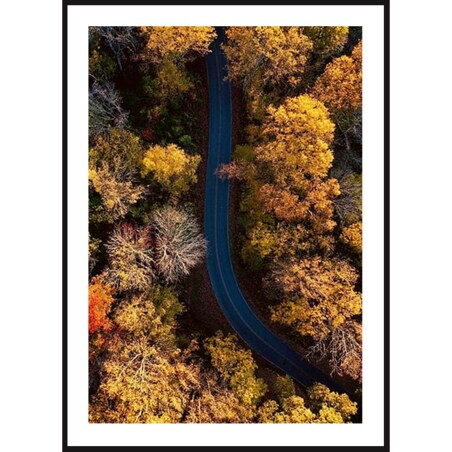 Poster Story, Plakat, Obraz - Las w Barwach Jesieni, wymiary 60 x 84 cm