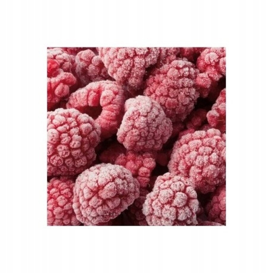 WORECZKI DO ZAMRAŻANIA żywności 1L 18x25cm 25szt