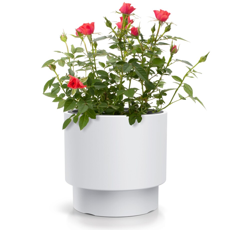 Doniczka Donica Ogrodowa 29,8 Cm Okrągła Na Taras Do Ogrodu Domu Biała