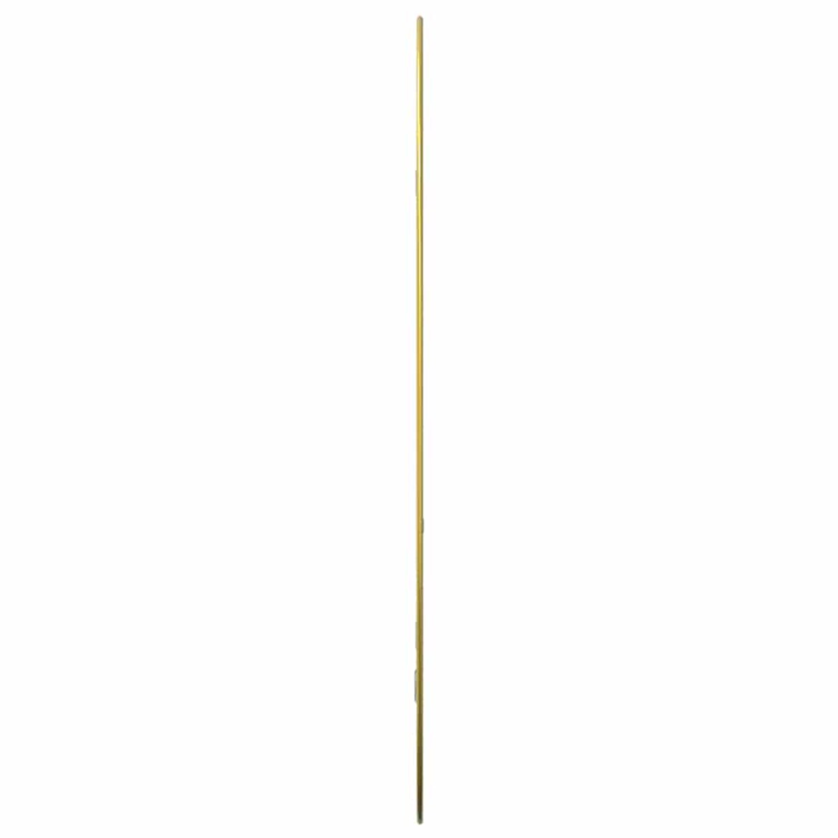 vidaXL Lustro ścienne, złote, 70x45 cm