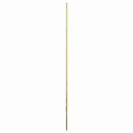 vidaXL Lustro ścienne, złote, 70x45 cm