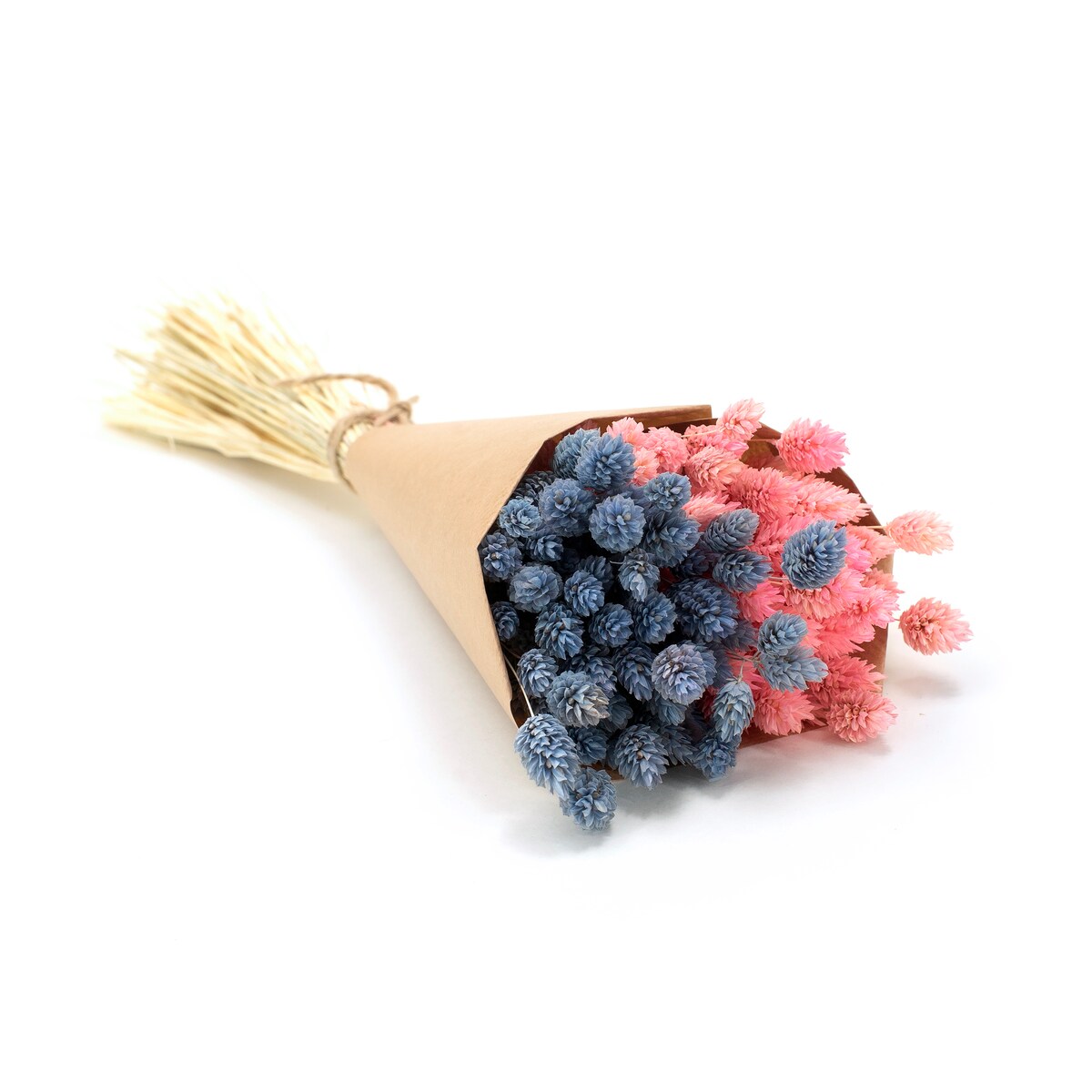 Zestaw duo suszonych traw phalaris niebieski & phalaris jasnoróżowy