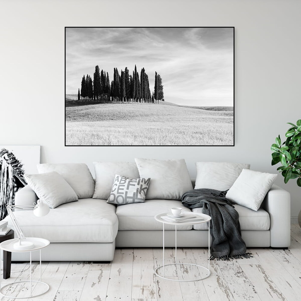 plakat cyprysy wzgórze toskania włochy 30x40 cm