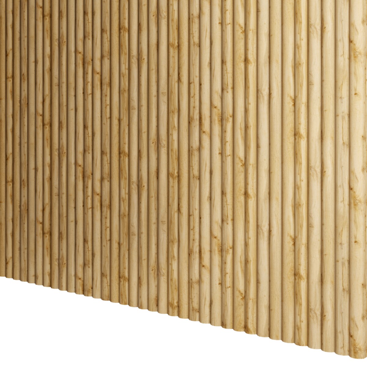 MIKROLAMELE VÅG - Dąb wotan