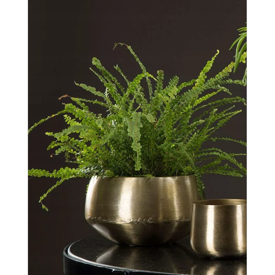 DONICZKA NA BONSAI DUŻA ZŁOTA METALOWA 2 szt osłonka donica do domu salonu