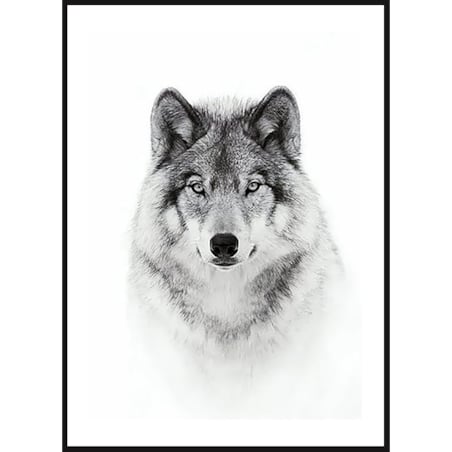 Poster Story, Plakat, Obraz - Wilk w Akwareli, wymiary 50 x 70 cm