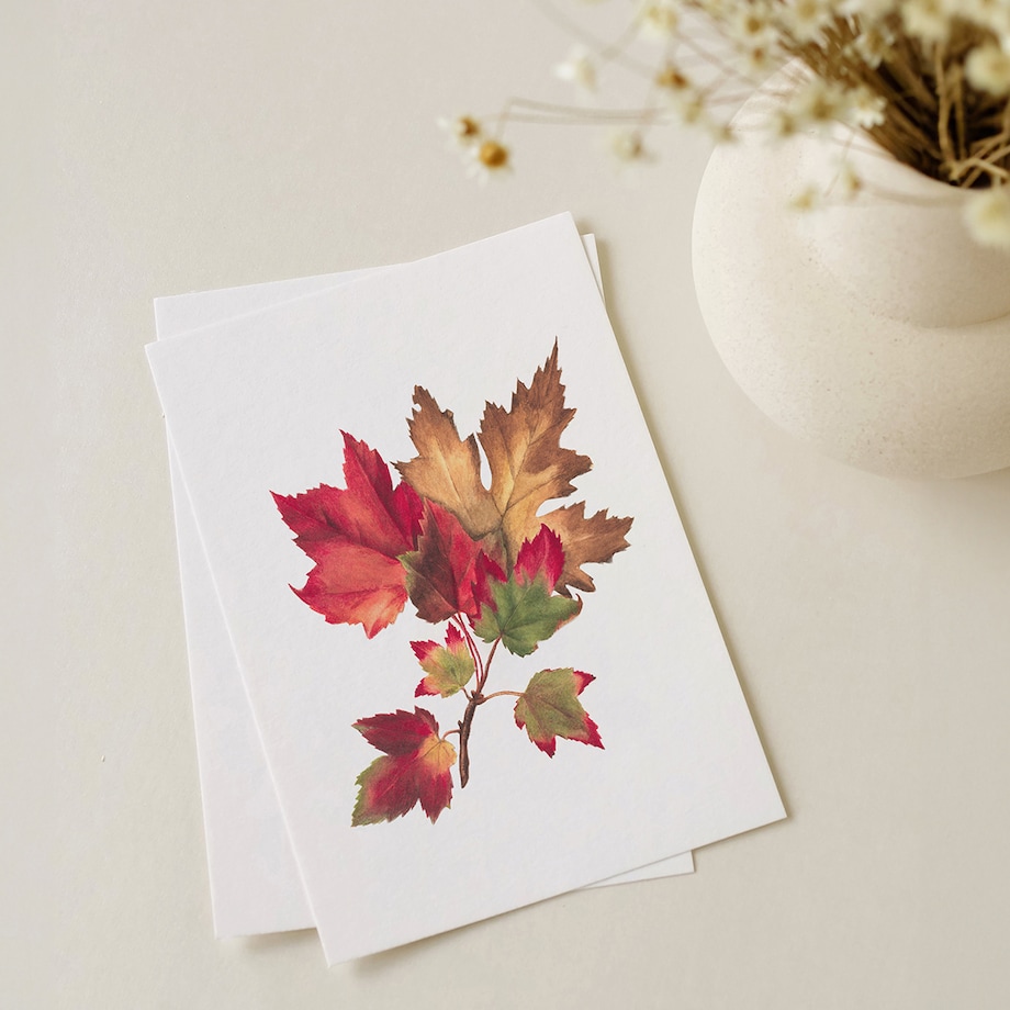 Plakat Jesienne liście #2 30x40cm