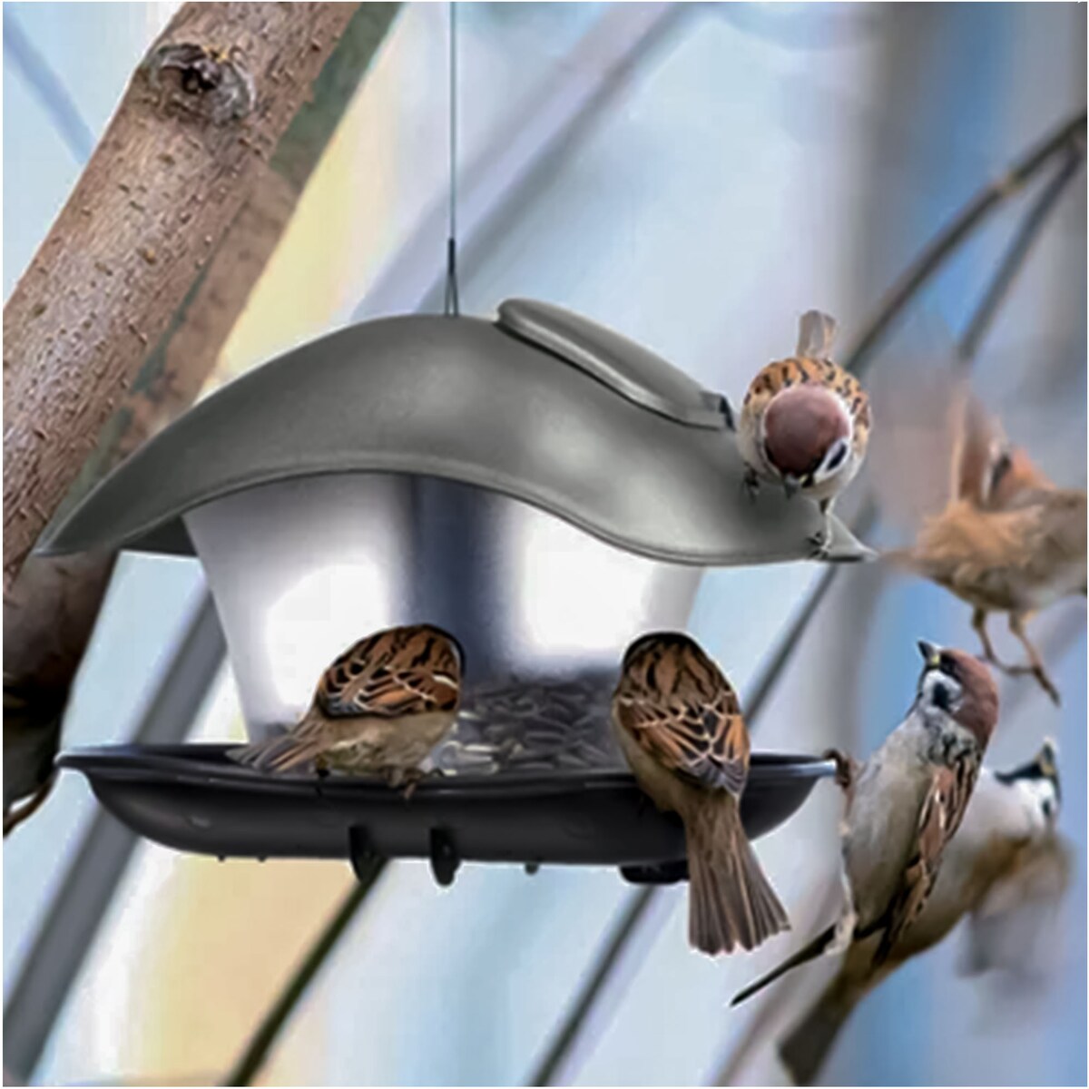 Karmnik Dla Ptaków 25X18 Cm Stojący Wiszący Na Zimę Plastikowy Square Budka