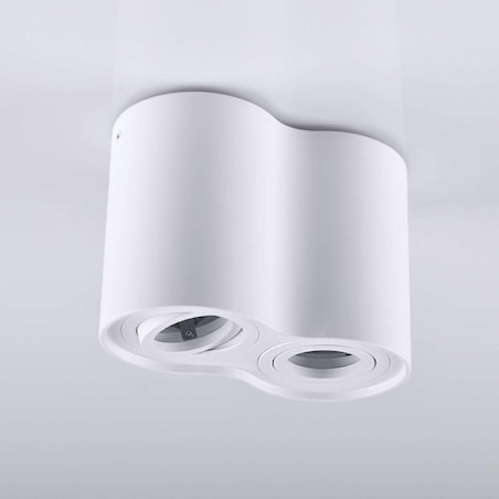 Downlight LAMPA sufitowa HADAR R2 313157 Polux regulowana OPRAWA metalowy spot tuby białe