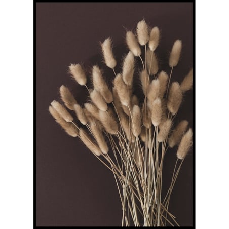 plakat suszona trawa ogon królika 30x40 cm