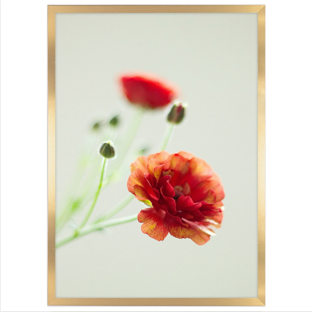 Ramka na zdjęcia 70x100 cm złota rama MDF z plexi do powieszenia pion poziom klasyczna prostokątna ramka FRAMAI®