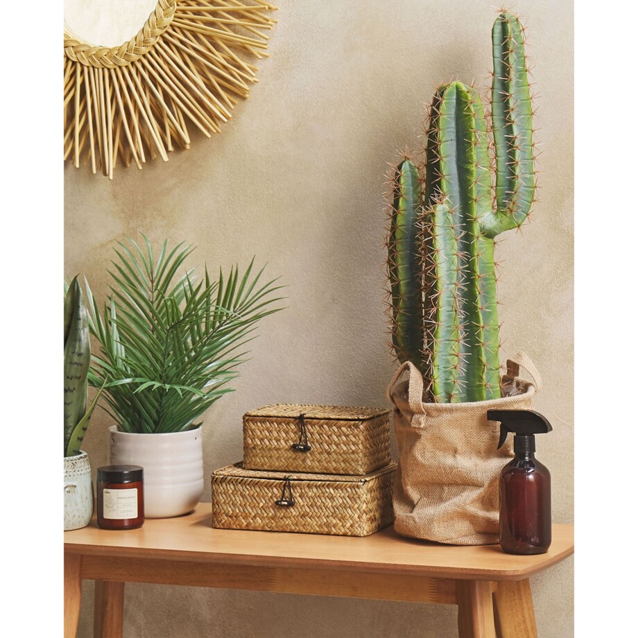 Sztuczna roślina CACTUS 78 cm Zielony