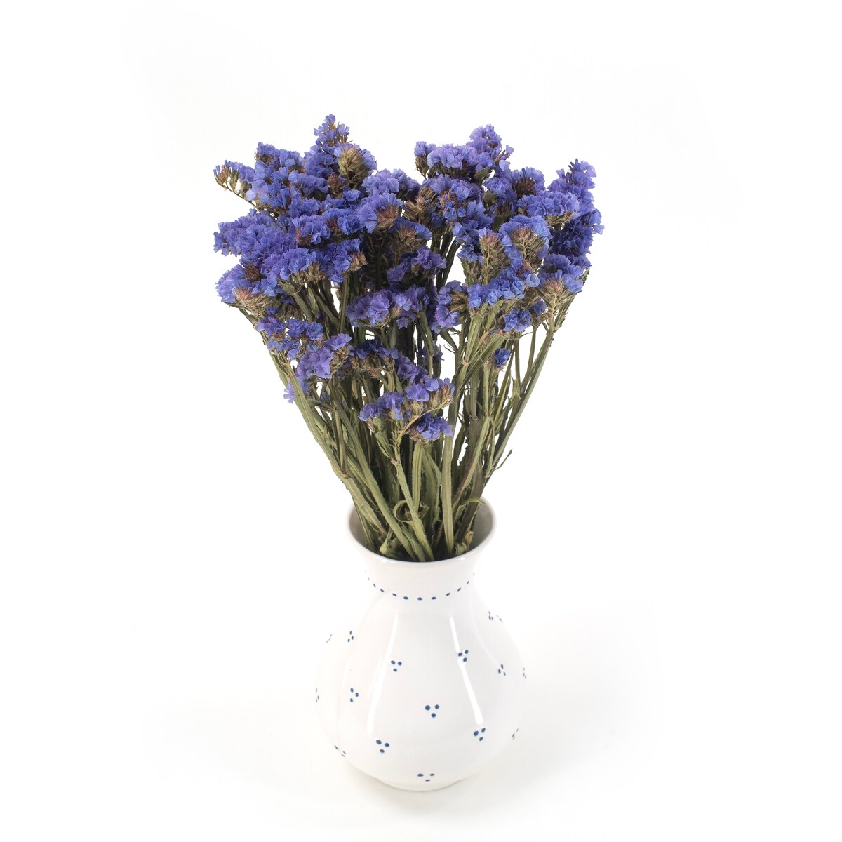 Suszony Zatrwian Niebieski