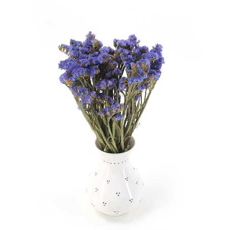 Suszony Zatrwian Niebieski