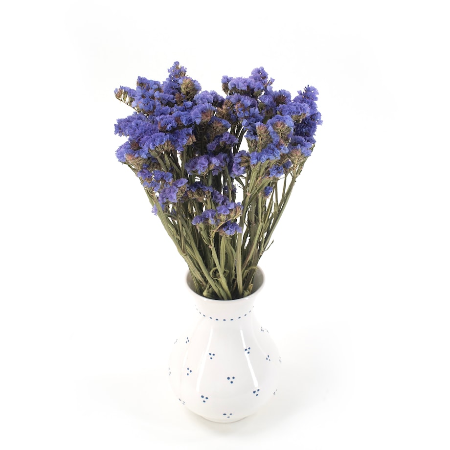 Suszony Zatrwian Niebieski