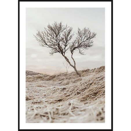 Poster Story, Plakat, Obraz - Samotne Drzewo, wymiary 21 x 30 cm