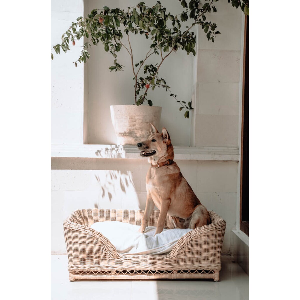 KALUA LEGOWISKO KOSZ DLA PSA L