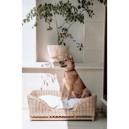 KALUA LEGOWISKO KOSZ DLA PSA L